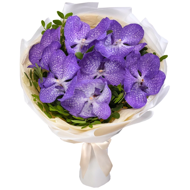 Букет из 7 орхидей ванда